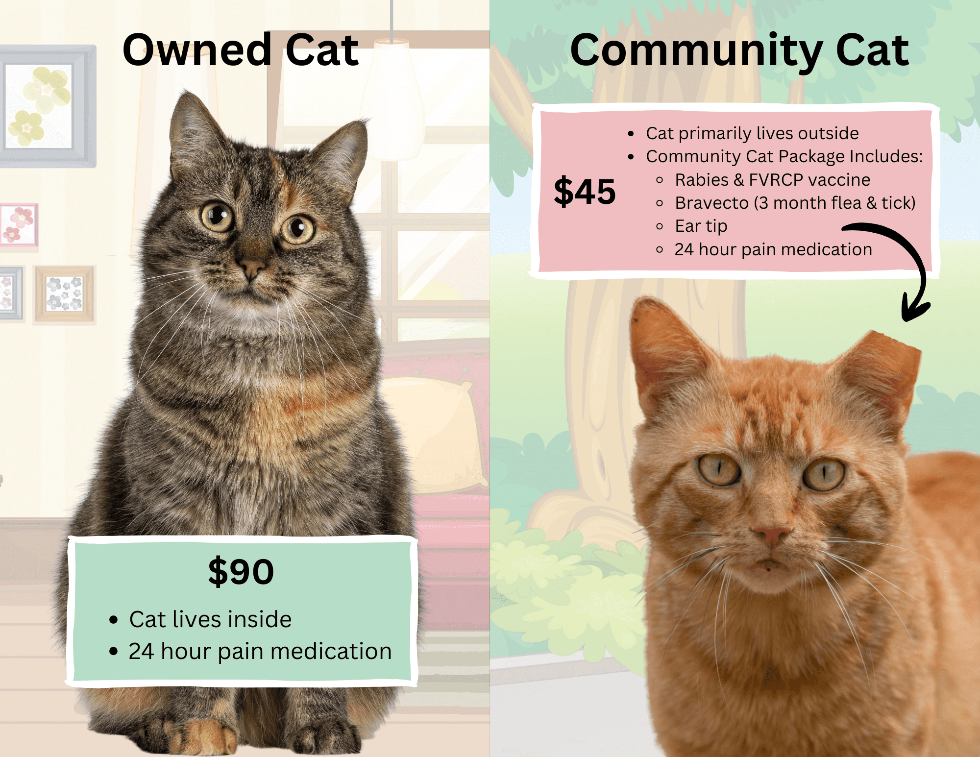 Owned Cat TNR Appointment Request - Humane Ohio
