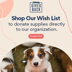 chewy-gives-back-dog-250x250